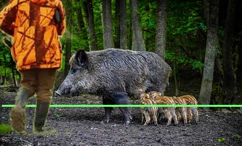 Alarme périmétrique