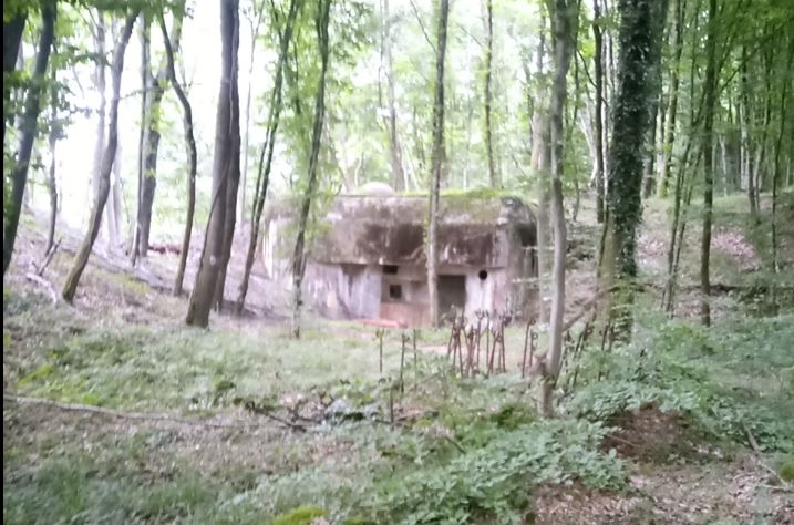 fort dans les bois