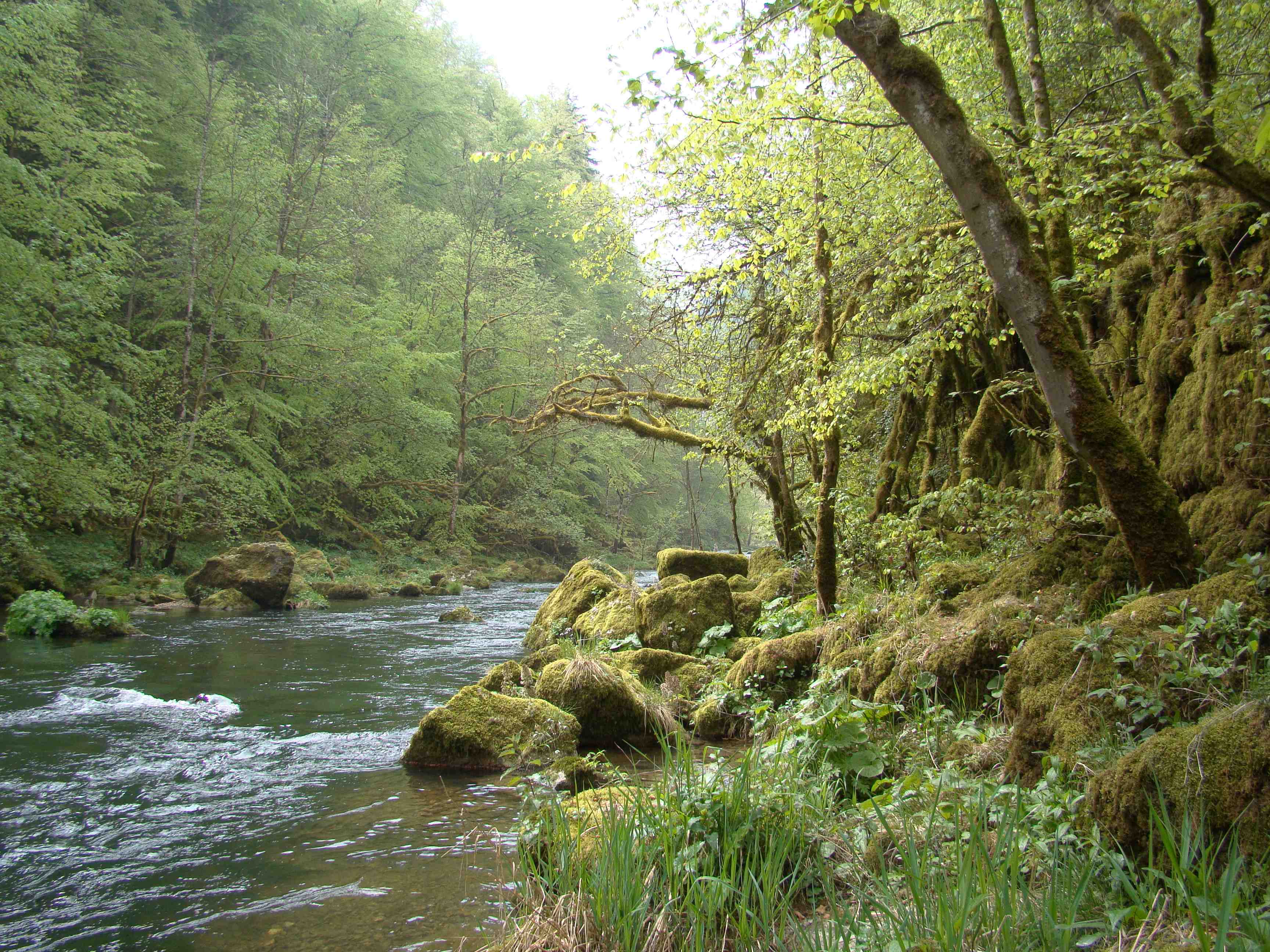 gorges du doubs